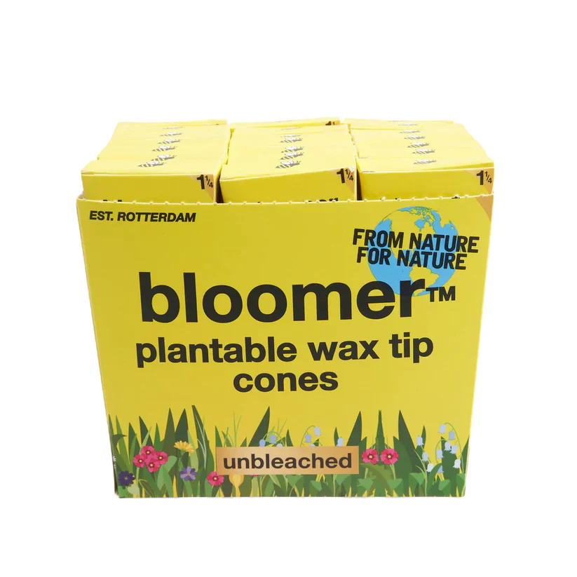 bloomer™ 1-1/4 paper cones - unbleached Box of 21
