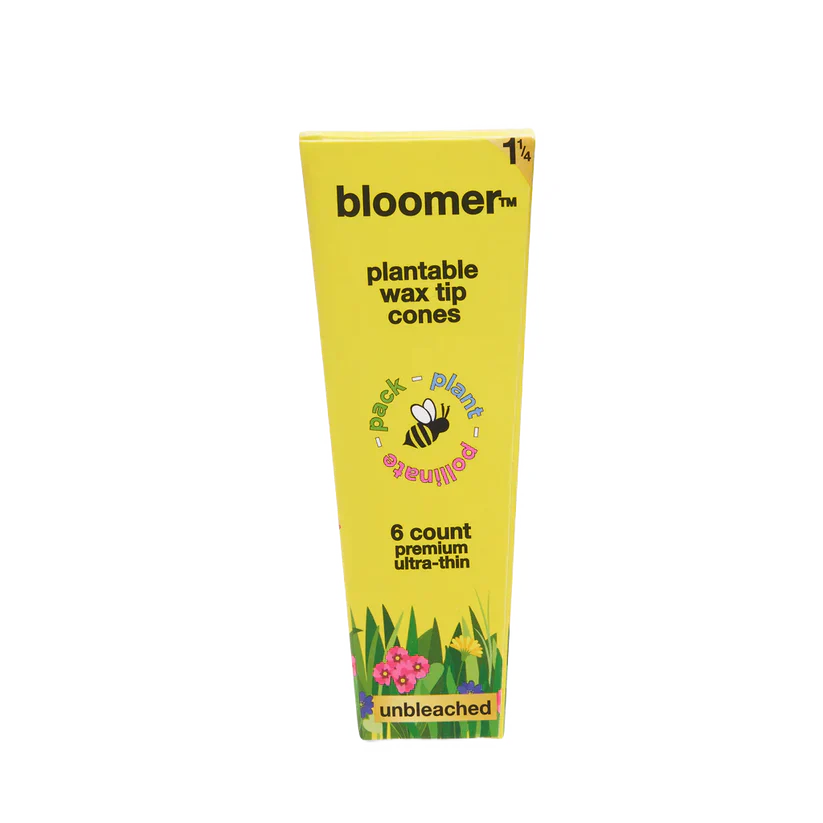 bloomer™ 1-1/4 paper cones - unbleached Box of 21