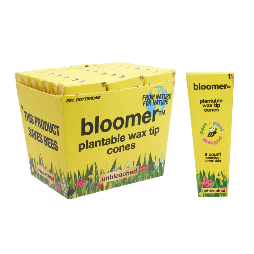 bloomer™ 1-1/4 paper cones - unbleached Box of 21
