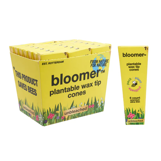 bloomer™ 1-1/4 paper cones - unbleached Box of 21