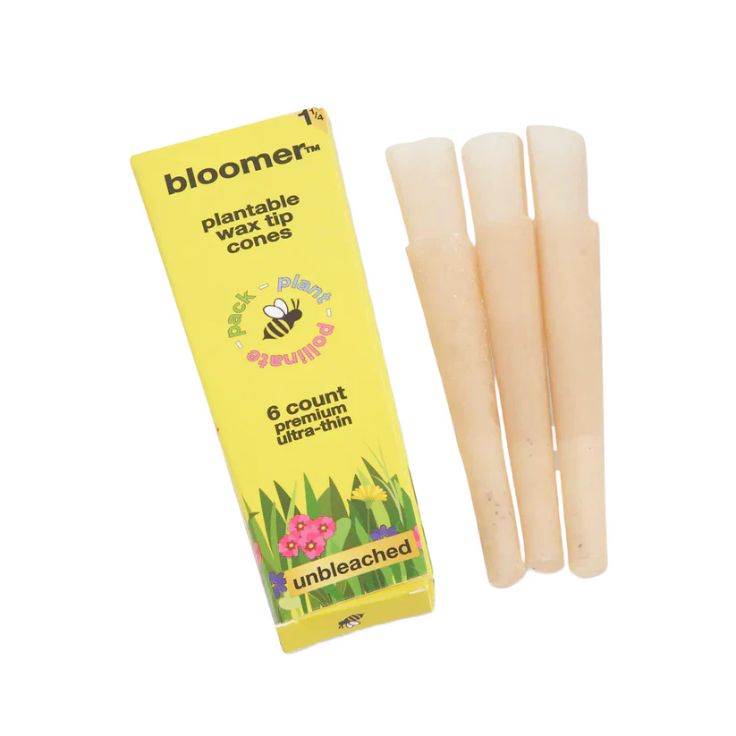 bloomer™ 1-1/4 paper cones - unbleached Box of 21