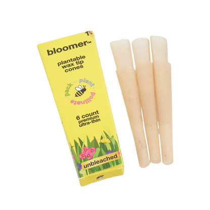 bloomer™ 1-1/4 paper cones - unbleached Box of 21